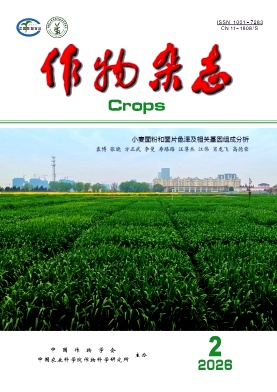 作物封面